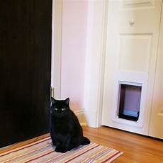 Automatic Cat Litter Boxes