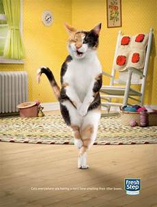 Automatic Cat Litter Boxes