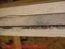 Automobile Carpet Mould