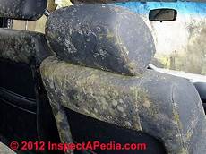Automobile Carpet Padding