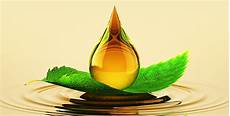 Automotive Lubricants