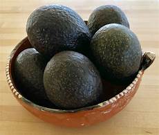 Avocado Oil Wholesale