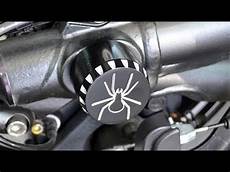 Axle Nuts