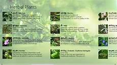 Ayurvedic Herb