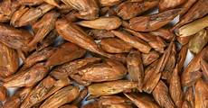 Ayurvedic Oils