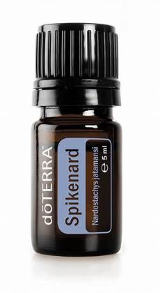 Ayurvedic Skin Products