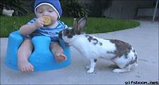 Baby Biscuits