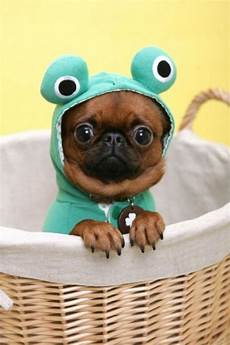 Baby Costume