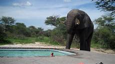Baby Pool