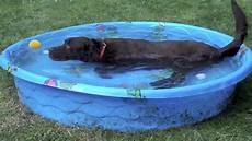 Baby Pool