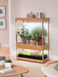 Bamboo Beds