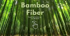 Bamboo Fiber Fabric