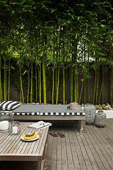 BambooFurniture