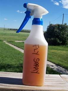 Basil Essential Oil