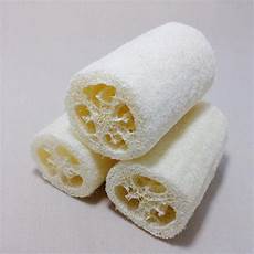 Bath-Brushes-Sponges-Scrubbers