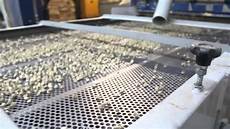 Bean Processing Machinery