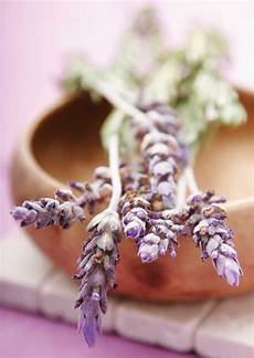 Beauty Care Products