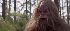 Beef Jerky