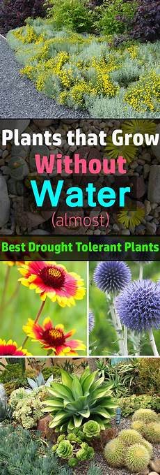 Best Heat Resistant Cements