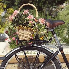 Bicycle Basket