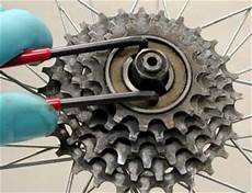 Bicycle Freewheel