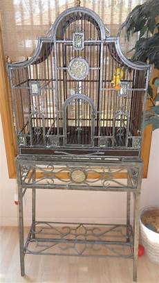 Birds Cages