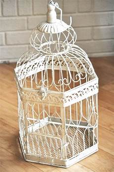 Birds Cages
