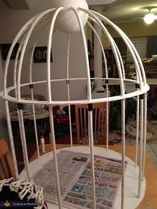 Birds Cages