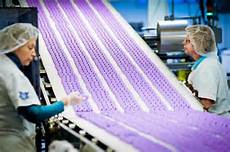 Biscuit manufacturing machines