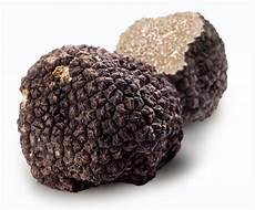 Black Truffle Mushrooms