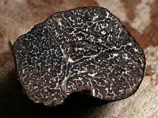 Black Truffles