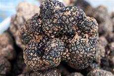Black Truffles