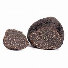 Black Winter Truffles