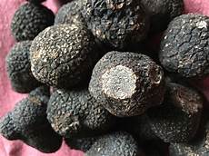 Black Winter Truffles