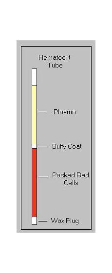 Blood Analyzers