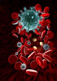 Blood System Agents