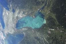 Blue Green Algae