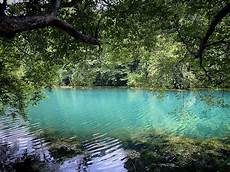 Blue Green Algae