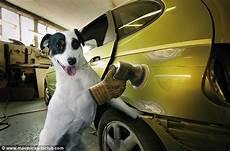 Body Repair Equipment