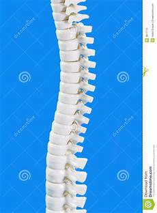 Bone Health
