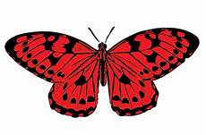Butterfly Macaroni