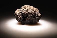 Buy Black Truffles