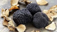 Buy Black Truffles