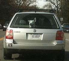 Car License Plates