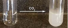 Carbon