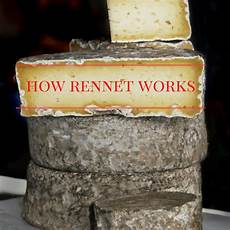 Casein Cheese