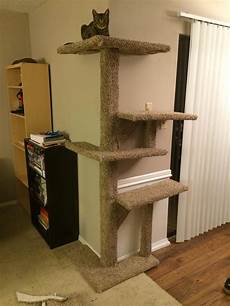 Cat Towers