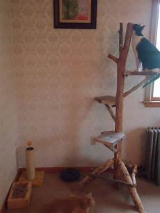 Cat Towers