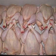 Chicken Feet Wholesaler