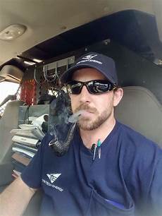 Cigars